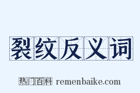 裂纹反义词是什么意思的图片